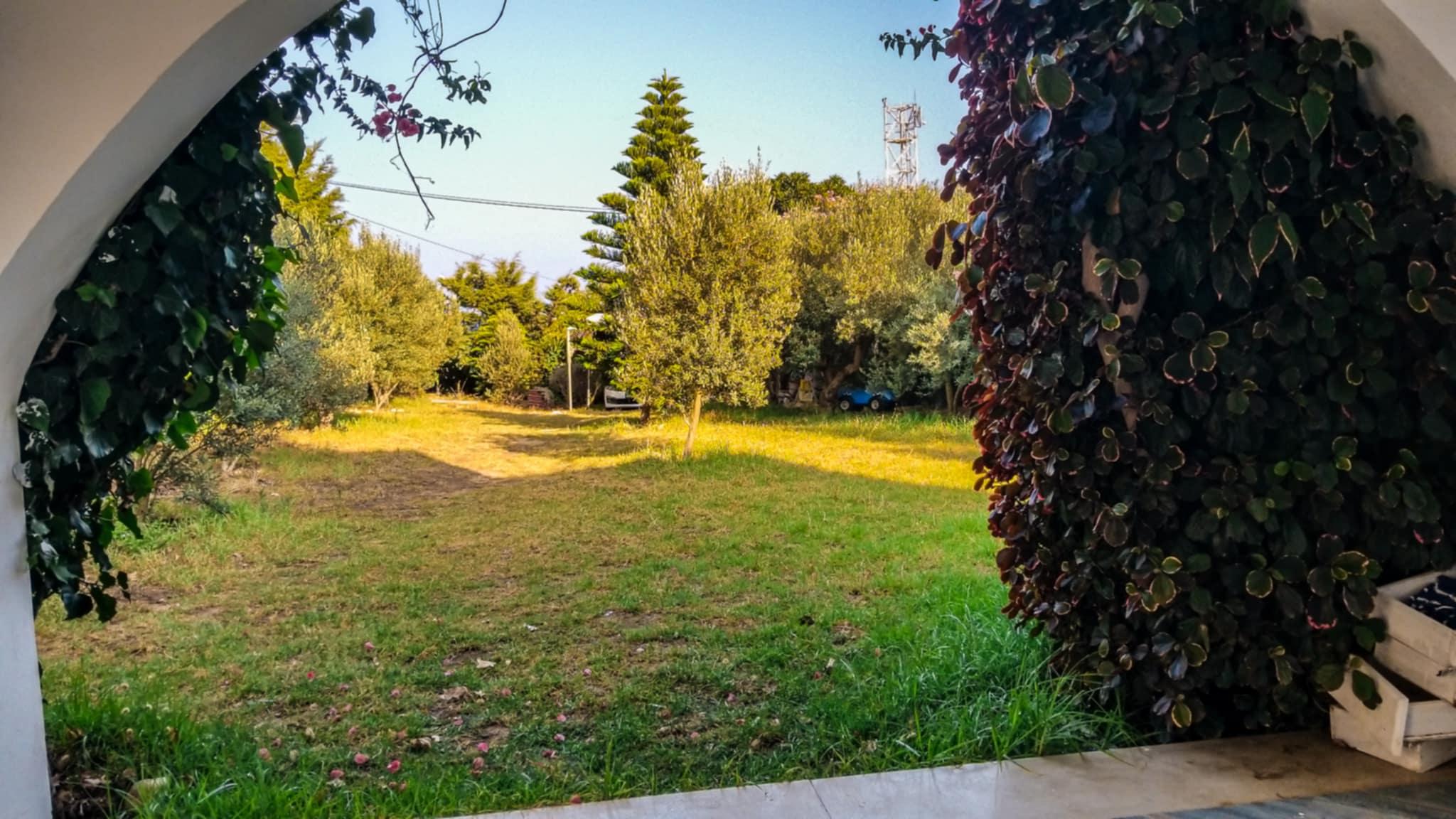 Villa à haouaria avec jardin